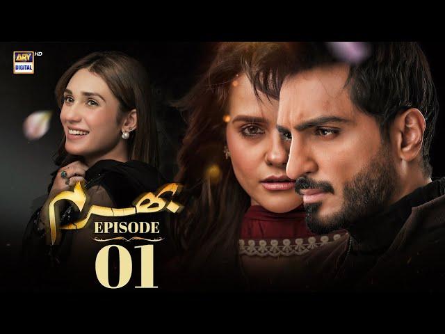 Bharam Episode 1 | Hina Tariq | Omer Shahzad | 27th Nov 2024 (English Subtitles) | ARY Digital