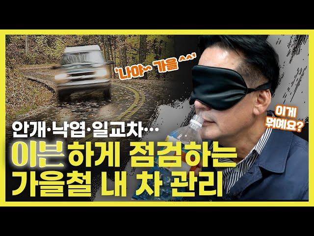 가을철 차 관리의 익힘 정도를 굉장히 중요시하거든요 | O'Car 명불허전 EP.50