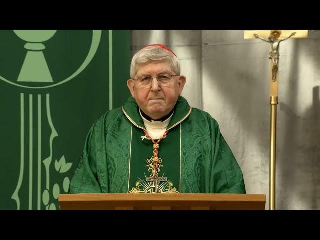 Sunday Catholic Mass Today | Daily TV Mass, Sunday September 8, 2024