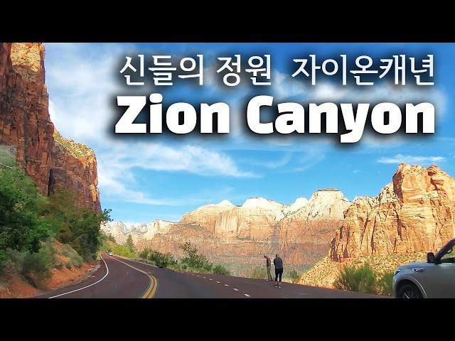 [Zion National Park 자이온 캐년여행] 신들의 정원 자이온캐년 랜선 드라이브 -  꼭 가봐야하는 자이온캐년 국립공원  [살맛나는 레시피 Lime Tree]