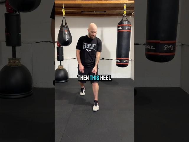 The Beginner Boxing Stance