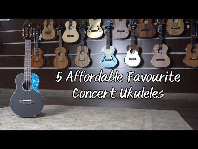 5 x Affordable Favourite Concert Ukuleles