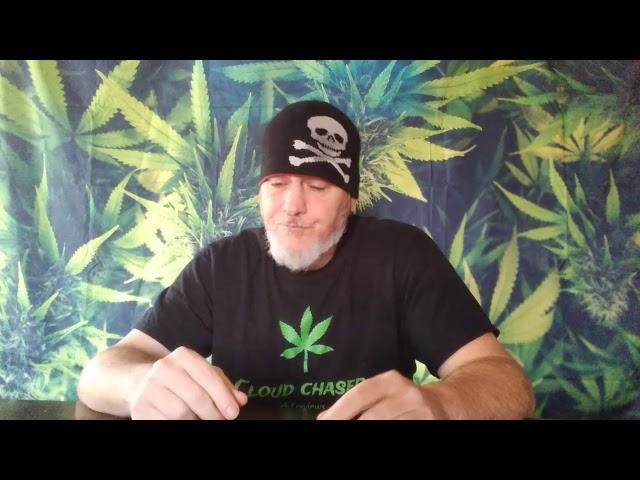 PROJECT HEMP FLOWER (AC/DC) CBD Flower Review