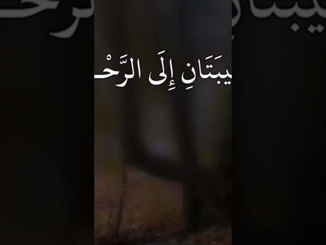 ٢١ ديسمبر، ٢٠٢٤