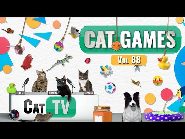 CAT Games | Ultimate Cat TV Compilation Vol 88 | 4 HOURS  