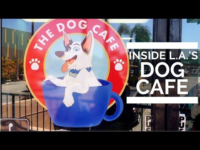 Inside America's First Dog Cafe in Los Angeles