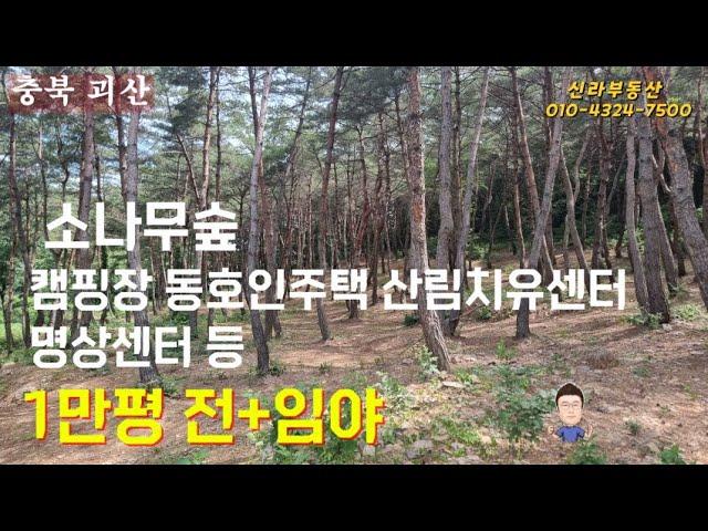 괴산군 임야+전 1만평  캠핑장 숲치유센터 명상센터 동호인주택 등 추천 #괴산군전원주택 #충북괴산임야매매 #괴산토지매매 #괴산텐트촌 #괴산캠핑장 #괴산군야영장