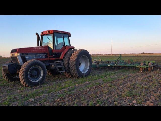 Field Cultivating with the Case IH 7230 Magnum