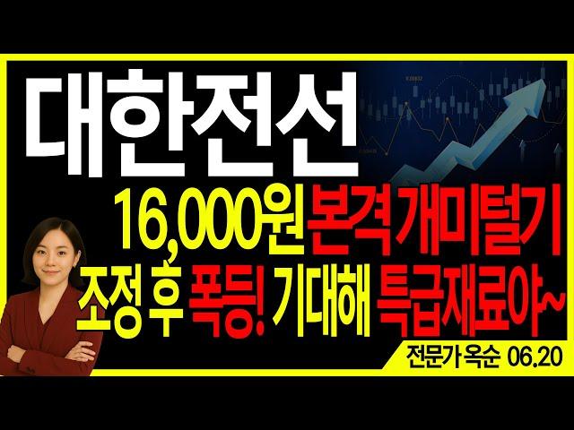 [대한전선] 주의️ 16,000원 본격 개미털기 시작, 싹 다 털고 반등 | 주도주연구소DS 옥순