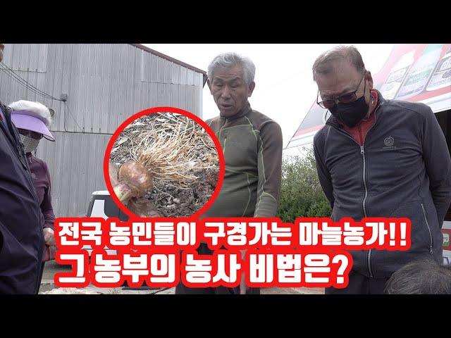 치파렐리로 아쿠도 루핸스를 사용해?? 전국에 소문난 마늘 농가!! 여기 저기 매일 구경 와서 그냥 영상 찍습니다!! 마늘농사 맛집!! 이팜티비에서 확인하세요^^