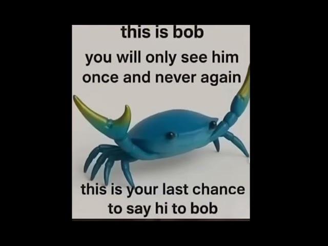 Say hi to bob! #bob #rice #memes