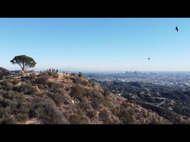 Hike to The Wisdom Tree on Burbank Peak