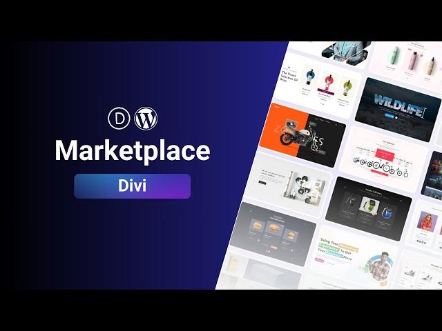 Divi Marketplace: Los Mejores Plugins y Temas para Crear Páginas Web con Divi y Wordpress