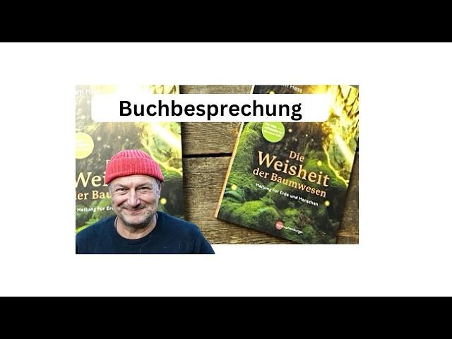 "Die Weisheit der Baumwesen" von Sam Hess // Buchvorstellung