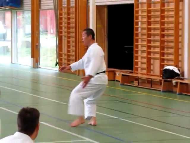 Kagawa-sensei demonstrates unsoku for the stance kokutsu-dachi