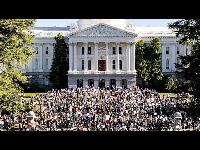 Протесты в США против политики Трампа и Илона Маска