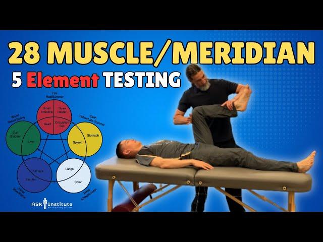 MUSCLE TESTING & Nervous System Regulation