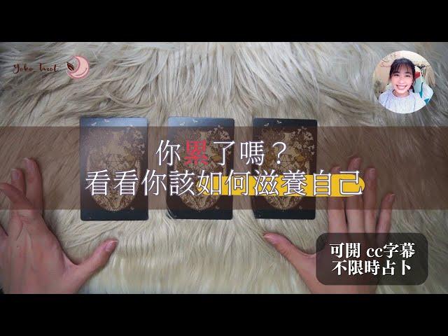 你累了嗎？看看你該如何滋養自己｜Yoko 塔羅占卜＃7