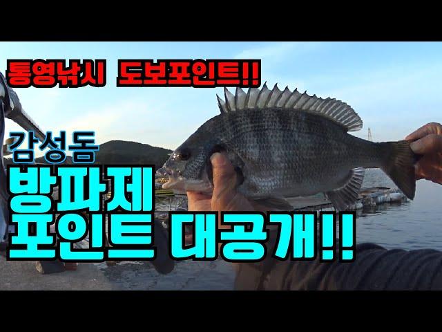 통영 도보포인트 감성돔낚시 방파제 공개~!!드루와~!!