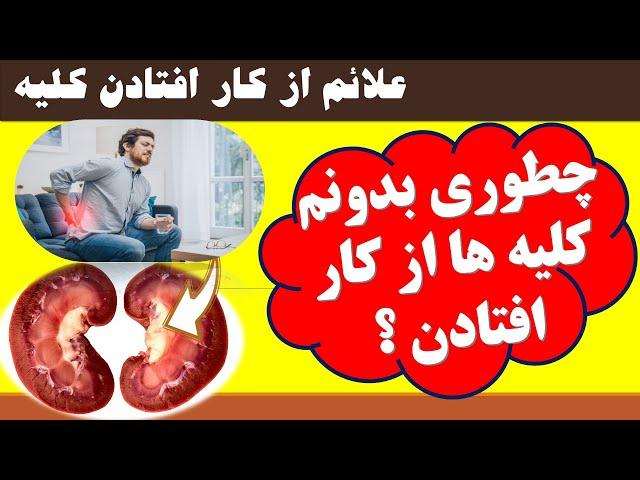 Kidney failure symptomsعلائم قبل ازآسیب کلیه چیه از کجا می دانید کلیه های شما دارند از کار میبافتند؟