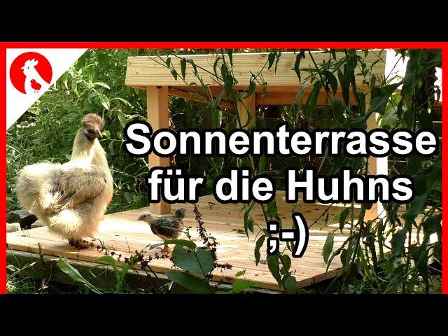 F234 Sonnenterrasse für die Hühnchen ;-D    - Jensman and the Huhns