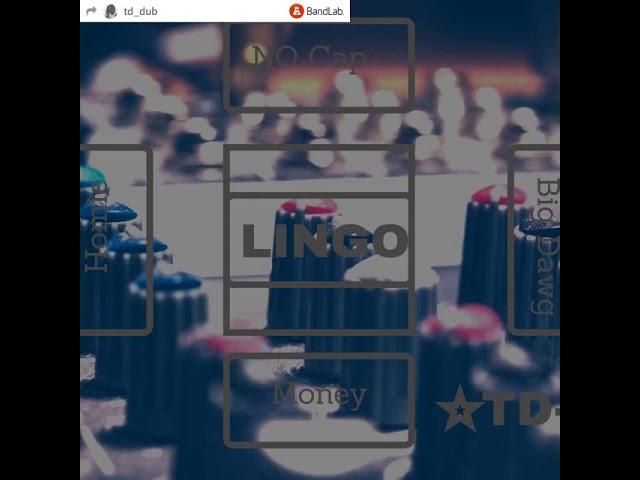TD-DUB- Lingo official Audio