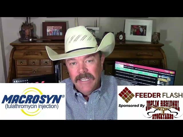 Feeder Flash 6/9:  Canadians Take Trophies