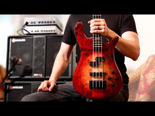 Behold... the SPECTOR EURO CST - Demo by Nate Navarro