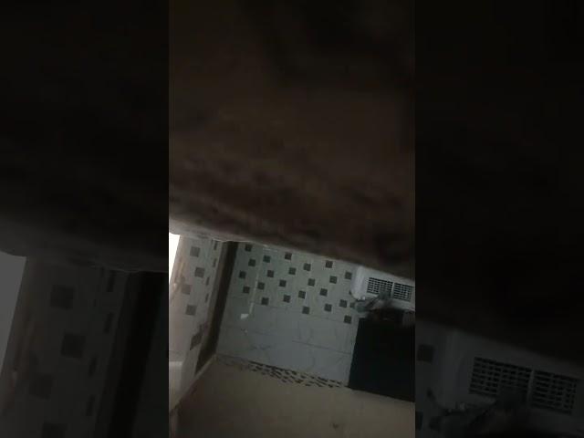 #my# house#