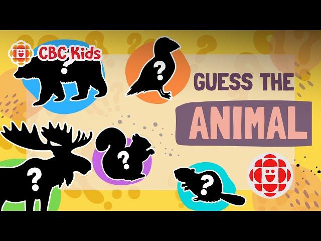 Guessing Game: What Cold-Loving Animal is This? | CBC Kids