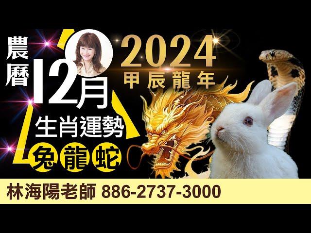 2024農曆12月，生肖運勢大解析（兔、龍、蛇）【林海陽】_20241223