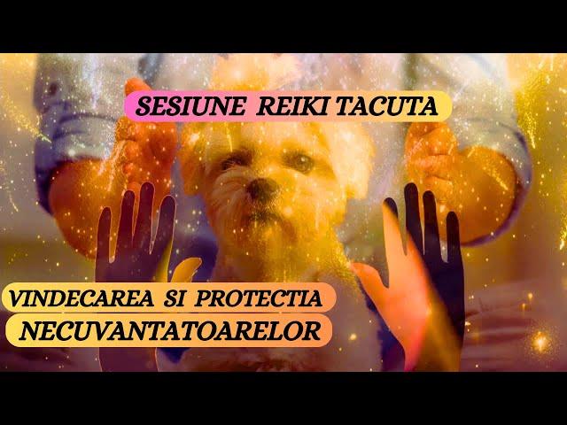 SESIUNE REIKI TACUTA - VINDECAREA SI PROTECTIA NECUVANTATOARELOR