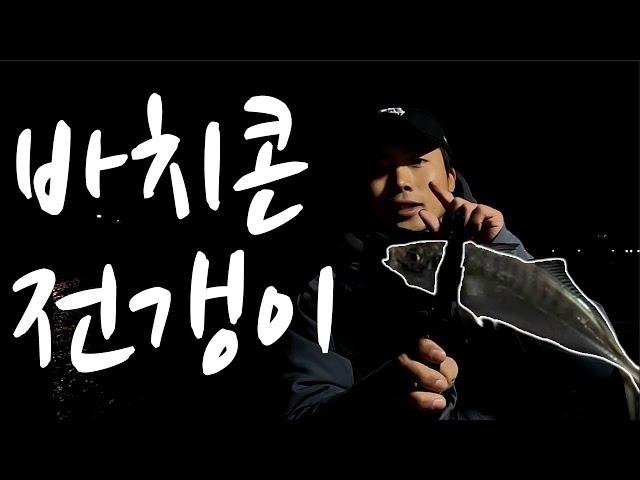 [박사원의 주말] 거제 선상 전갱이 낚시를 다녀와봤습니다. #전갱이루어 #전갱이낚시 #바치콘 #아징