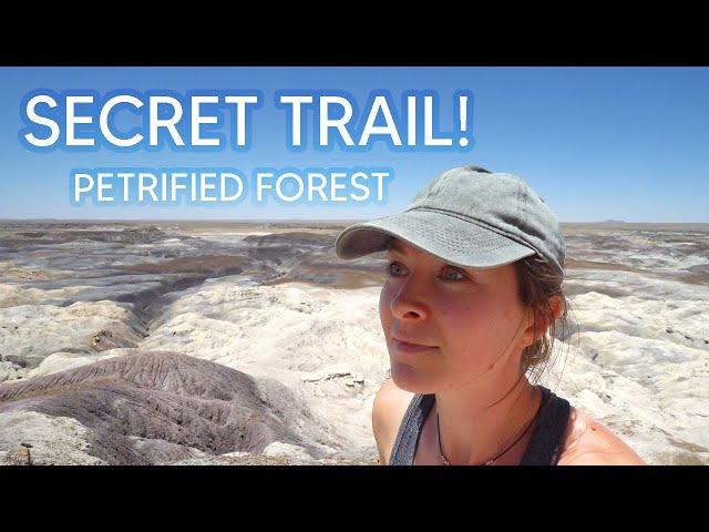 This SECRET TRAIL Blew our MINDS! | Petrified Forest National Park