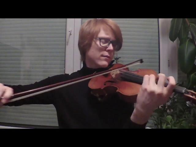 Marry Me -  Hans Zimmer -  Violin Cover by Floris Willem