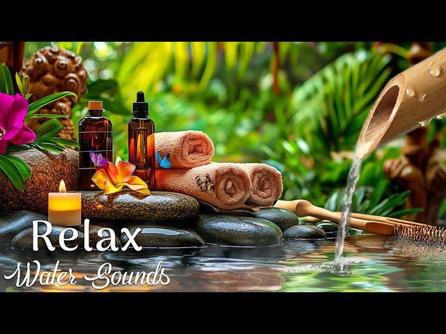 Beautiful Piano Music  Relaxing Music for Sleep, Studying & Relaxation, Calming Music, Bamboo