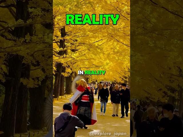 Places in Japan you won't believe really exists️