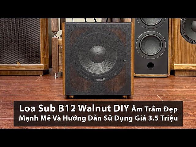 Loa Sub B12 Walnut DIY Âm Trầm Đẹp Mạnh Mẽ Và Hướng Dẫn Sử Dụng Giá 3.5 Triệu