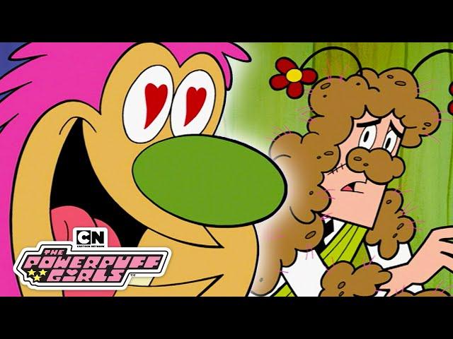 Fuzzy Lumpkins | The Powerpuff Girls | Cartoon Network