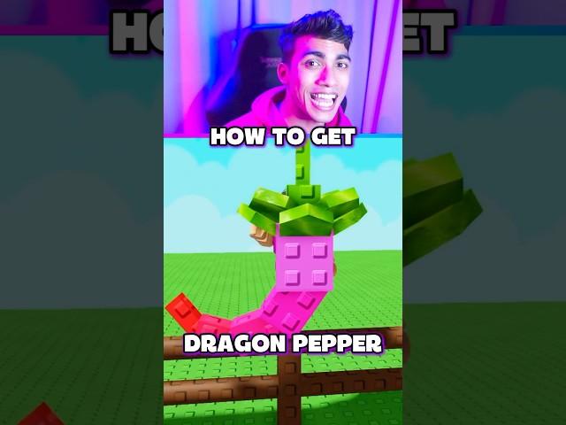 How to Get DRAGON PEPPER in Grow a Garden 