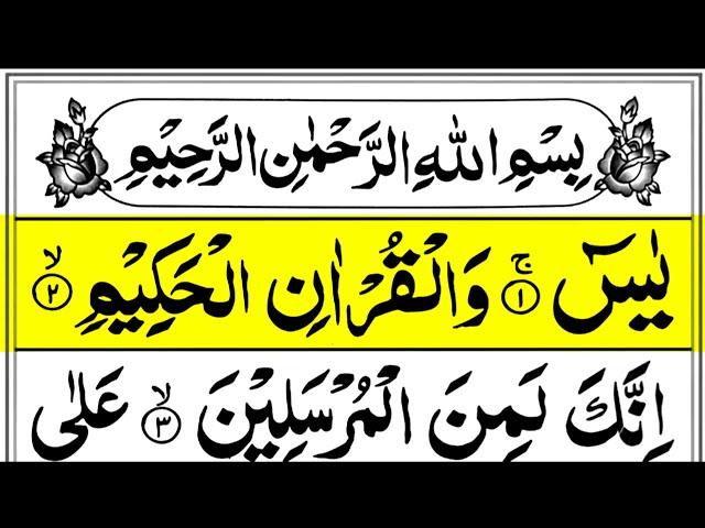 Yellow Flowers with Surah Yasin
