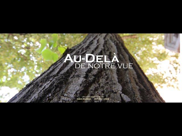 Au-delà de notre vue (documentaire)