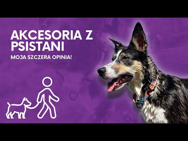 Akcesoria z Psistani kontra cztery psy - jak wyglądają po kilku miesiącach codziennego użytkowania?