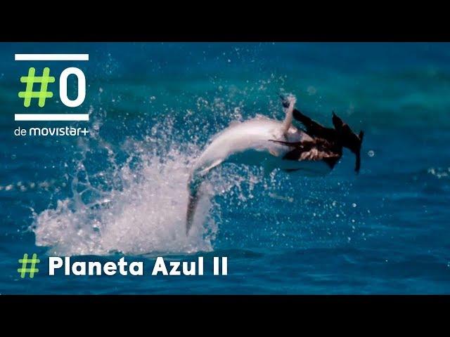 Planeta Azul II: La espectacular caza del Pez Jurel | #0