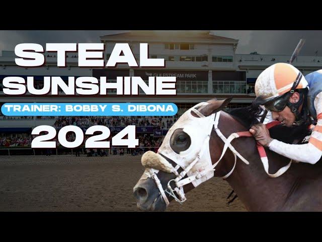 Steal Sunshine 2024 Gulfstream Mile Betting Review