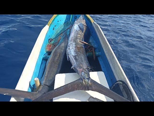 MANCING TENGIRI || DIHADANG KAWANAN BLACK MARLIN/LAYARAN || AUTO SEKALI NAIK DUA EKOR#mancingmania