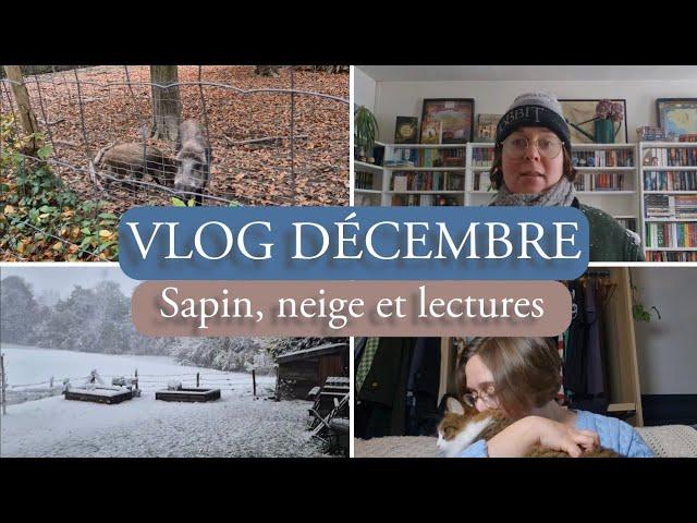 VLOG December 2024: Fir, Snow and Readings