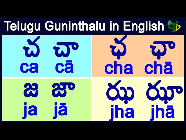 ca cha ja jha guninthalu in English | చ ఛ జ ఝ గుణింతాలు | How to write telugu guninthalu