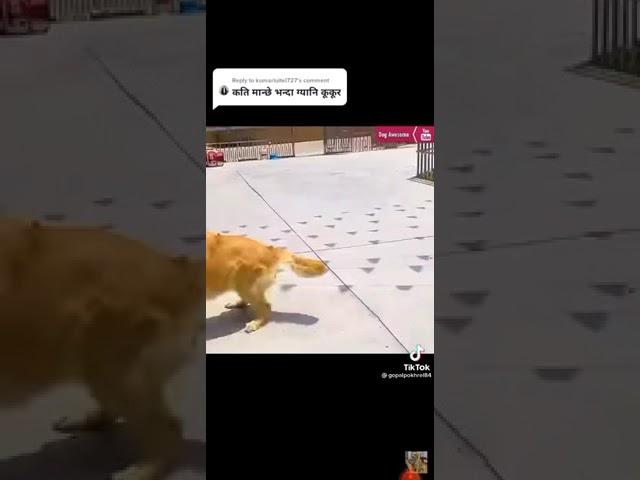 https://bit.ly/wHoop