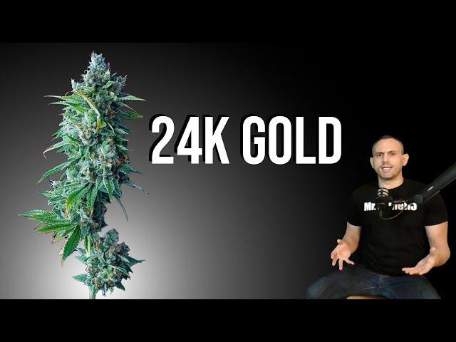 VARIEDAD de MARIHUANA: 24K GOLD